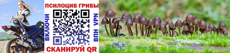 Псилоцибиновые грибы Psilocybe  где купить наркоту  Усолье-Сибирское 